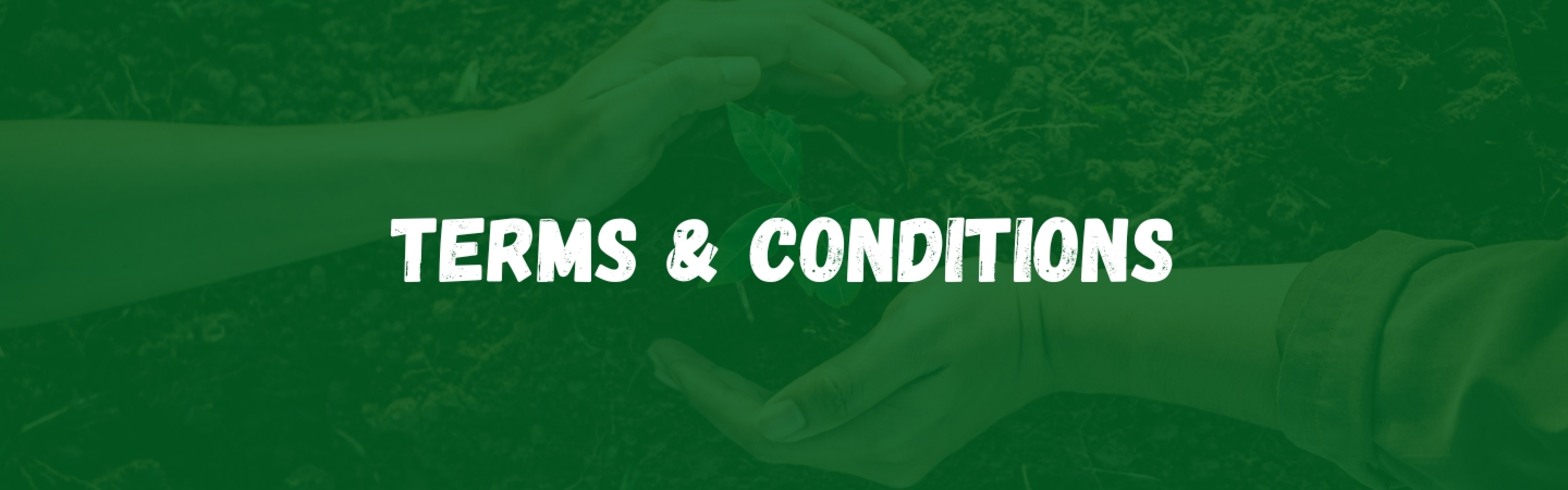 terms and conditions page