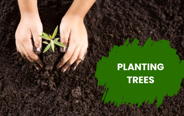 planting trees