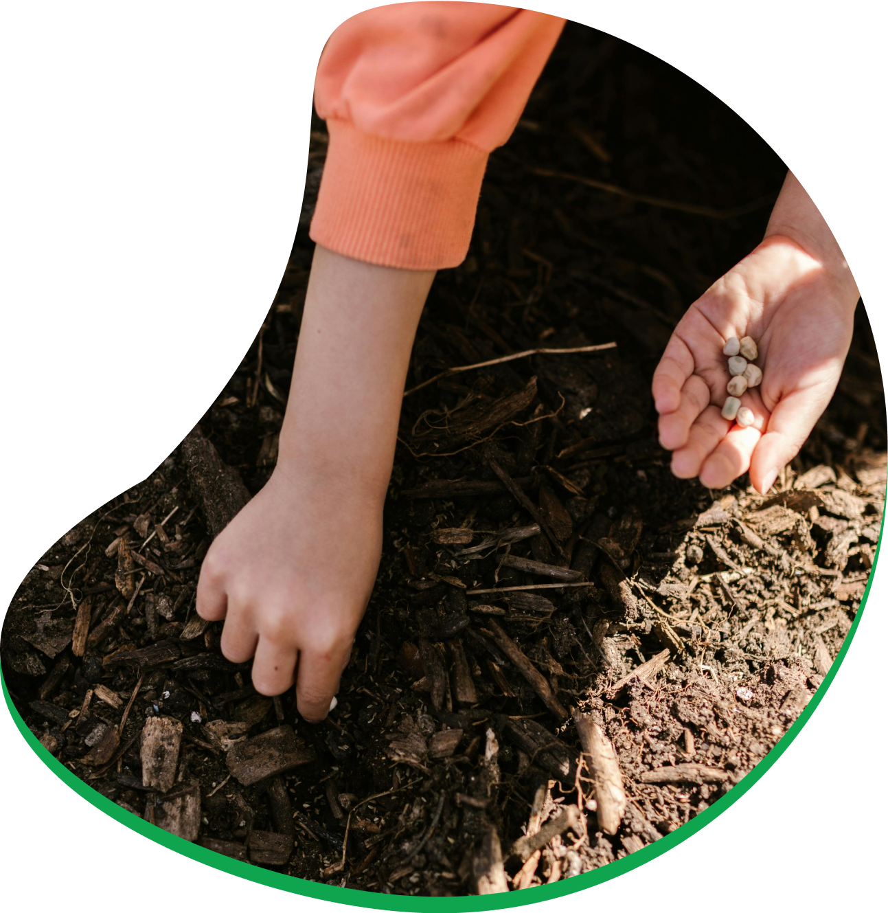 Department Of Forest