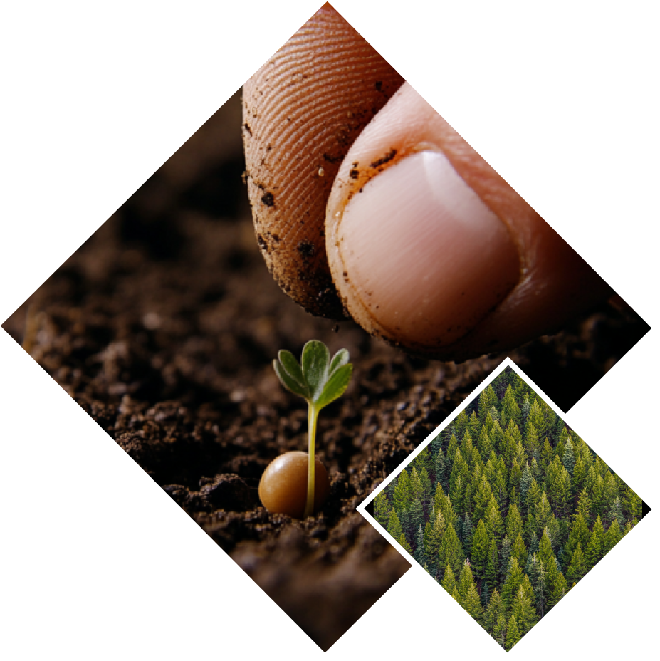 Karnataka forest department