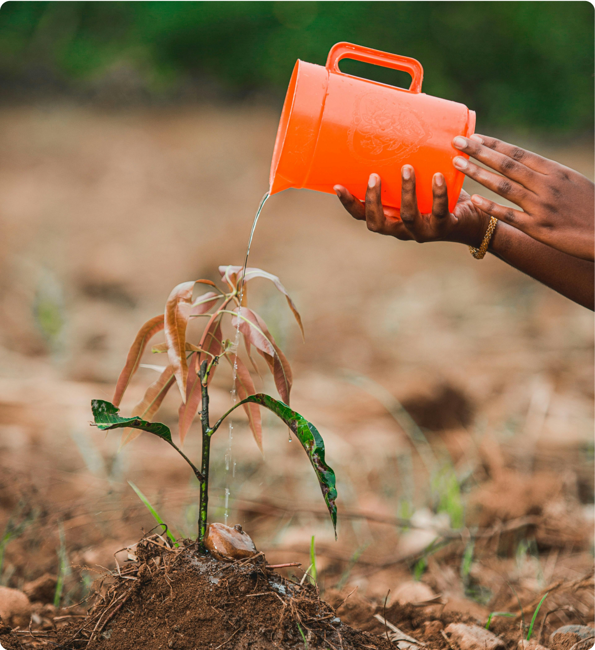 Department Of Forest Conservation